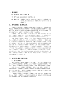 计算机实习报告总结