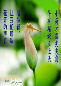 文似看山不喜平