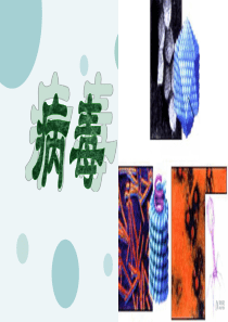 人教版八年级生物上册---第五章-病毒-课件