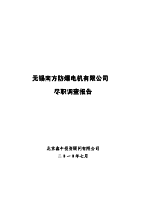 尽职调查报告