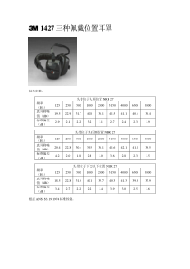 3-1427-三种佩戴位置耳罩---3M