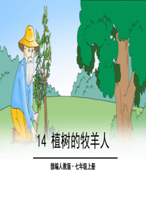 《植树的牧羊人》PPT-完美版