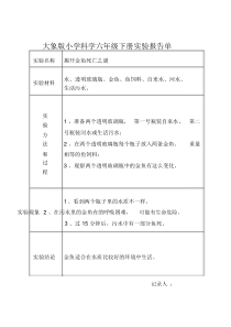 (完整版)大象版小学科学六年级下册实验报告单.doc