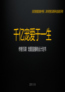 传智互联宠爱直播商业计划书(1)（PDF26页）