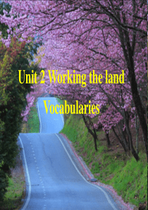 必修4unit2单词讲解(课堂PPT)