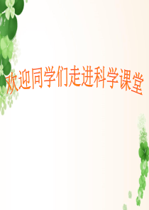 小学科学课件《身体的结构》.ppt