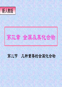《几种重要的金属化合物》