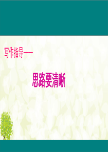 写作指导：思路要清晰PPT
