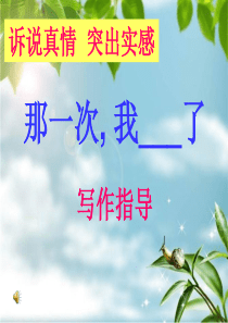 那一次-我-了.指导ppt