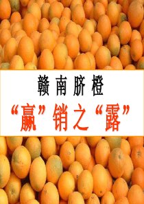 江西脐橙营销推广方案-“赢”销之“露”(ppt-142)-