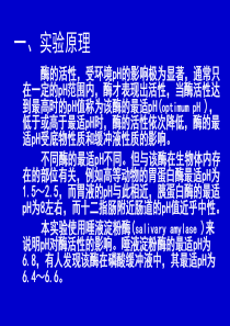 pH对酶活性的影响
