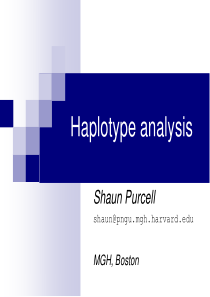 Haplotype-analysis