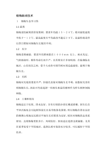 杨梅栽培技术
