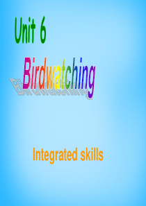 牛津译林版八年级英语上册Unit6BirdwatchingIntegratedskills课件