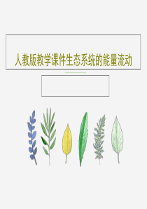 人教版教学课件生态系统的能量流动共27页