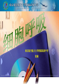 区级公开课《细胞呼吸》..