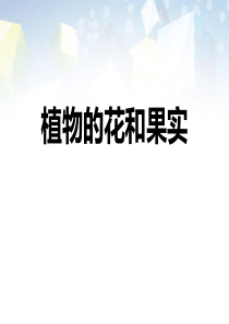 《植物的花和果实》-图文