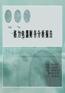 格力电器的财务分析报告-财务分析