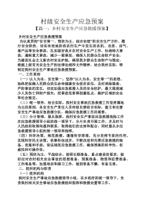 村级安全生产应急预案