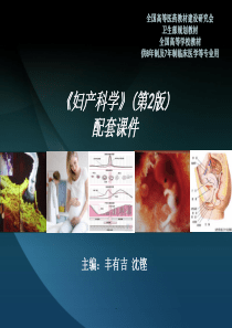 女性生殖系统生理最新版本