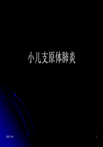 小儿支原体肺炎PPT