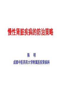 慢性肾脏疾病的防治策略--2012-10-08