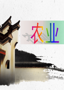 人教版八年级地理上册-农业