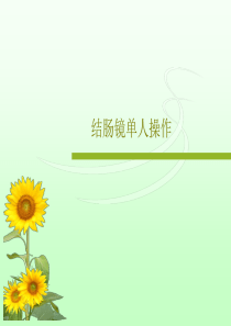 结肠镜单人操作共33页