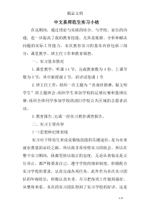 中文系师范生实习小结