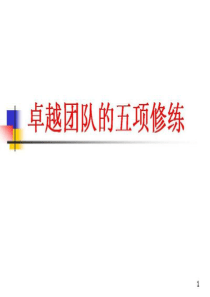 卓越团队的五项修炼