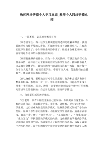 教师个人网络研修总结