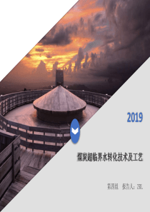 煤炭超临界水转化技术及工艺