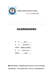税务会计消费税论文