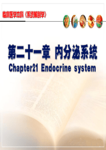 系统解剖学-内分泌系统