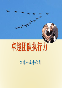 卓越团队执行力