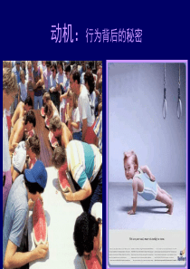 彭聃龄《普通心理学》-第09章-动机