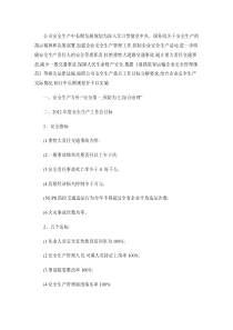 公司安全生产中长期发展规划.