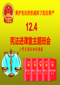 12.4宪法宣传进校园主题班会