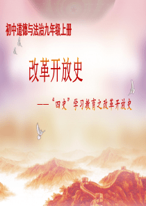 改革开放史