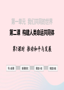 新人教版道德与法治九年级下册课件：推动和平与发展