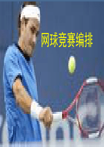 网球组织与编排