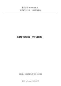 淄博赛格壹世界数码电子时代广场策划建议