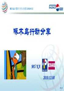 啄木鸟行动-百佳吉之岛团队分享