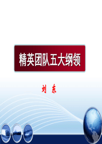 团队5大执行纲领