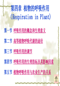 第四章-植物的呼吸作用吕俊12011
