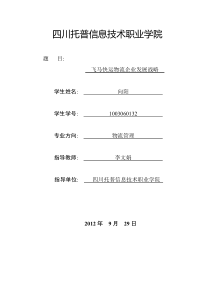 飞马快运物流企业发展战略
