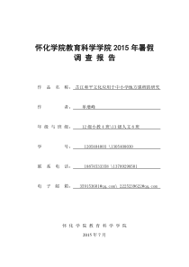 暑期调查报告