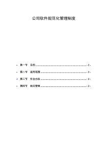 公司软件规范化管理办法试行