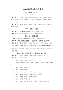 新能源有限公司章程