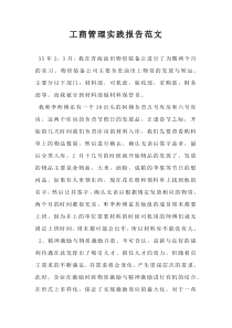 工商管理实践报告范文